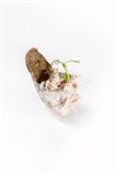 CATERING BOX №14 |FINGER FOOD| МЯСНОЙ, 12 штук 014 - фото 5229